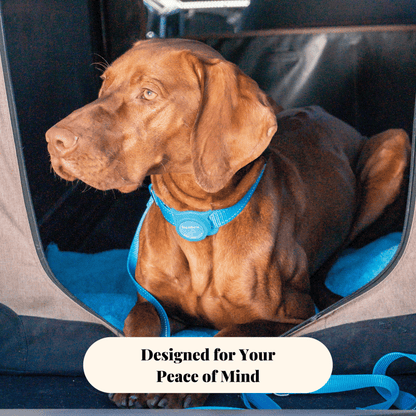 Personalized Airtag Holder